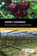 Sweet Cherries (eBook, ePUB) - Bild 1