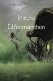 Irische Elfenmärchen (eBook, ePUB)