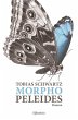 Morpho peleides - Bild 1