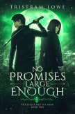 No Promises Large Enough (The Ghost and the Mask, #2) (eBook, ePUB)