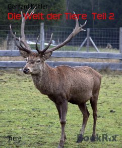 Die Welt der Tiere Teil 2 (eBook, ePUB) - Köhler, Gerhard