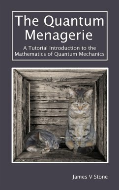 The Quantum Menagerie - Stone, James V