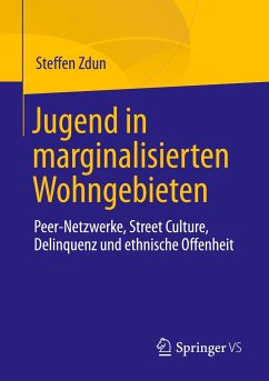 Jugend in marginalisierten Wohngebieten - Zdun, Steffen