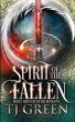Spirit of the Fallen - Bild 1