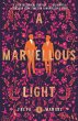 A Marvellous Light (eBook, ePUB) - Bild 1