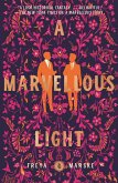 A Marvellous Light (eBook, ePUB)