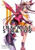 Infinite Stratos: Volume 3 (eBook, ePUB)