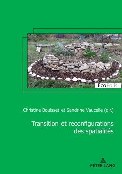 Cover Transition et reconfiguration des spatialités (eBook, ePUB)
