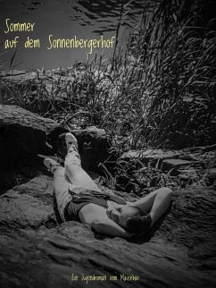 Sommer auf dem Sonnenbergerhof (eBook, ePUB) - Dürholt, Thorsten