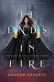 It Ends in Fire (eBook, ePUB)