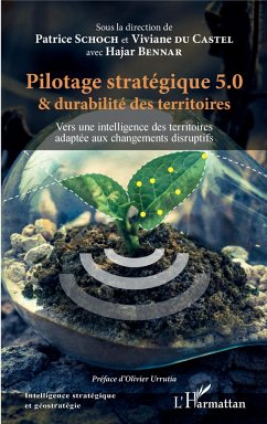 Cover Pilotage stratégique 5.0 et durabilité des territoires