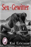 Sex-Gewitter (Erotik) (eBook, PDF)