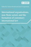 International organisations, non-State actors, and the formation of customary international law (eBook, ePUB)