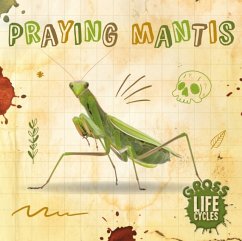 Praying Mantis - Anthony, William
