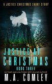 Justice at Christmas 3 (eBook, ePUB)