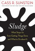 Sludge (eBook, ePUB)