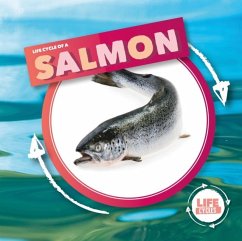 Life Cycle Of A Salmon - Holmes, Kirsty
