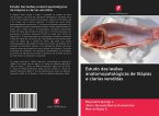 Estudo das lesões anatomopatológicas de tilápias e clarias vendidas