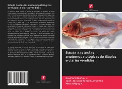 Estudo das lesões anatomopatológicas de tilápias e clarias vendidas - Ipungu L., Raymond;Banze Kumwimba, Jean-Jacques;Ngoy K., Marcel