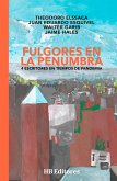 Fulgoresen lapenumbra (eBook, ePUB)