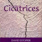 Ciertas cicatrices (fixed-layout eBook, ePUB)