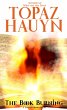 The Book Burning (eBook, ePUB) - Bild 1