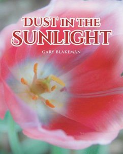 Dust in the Sunlight - Blakeman, Gary