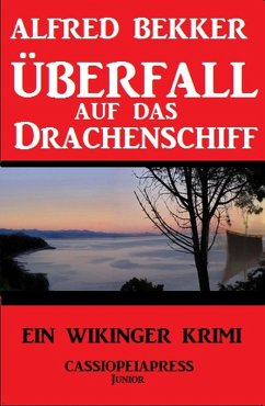 Überfall auf das Drachenschiff (eBook, ePUB) - Bekker, Alfred