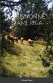 LE BISNONNE D'AMERICA