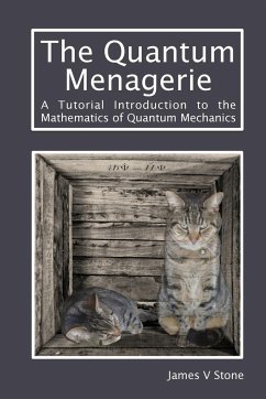The Quantum Menagerie - Stone, James V