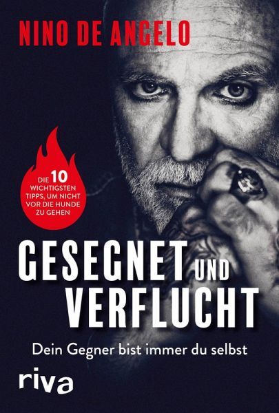 Gesegnet und verflucht (eBook, PDF)