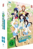 Nisekoi - Staffel 2 - Gesamtausgabe Gesamtedition