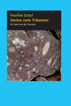 Steine zum Träumen (eBook, ePUB) - Schul, Pauline