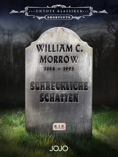 Schreckliche Schatten (eBook, ePUB)