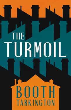 Cover The Turmoil (eBook, ePUB)