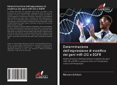 Determinazione dell'espressione di modifica dei geni miR-212 e EGFR