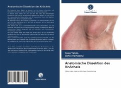 Anatomische Dissektion des Knöchels - Yabka, Assia;Hamzaoui, Bahia