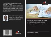 Finanziamento delle piccole e medie imprese in Africa.