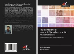 Impollinazione di anacardi(Spondias mombin, Anacardiaceae) - Oliveira, Mikail;Freitas, Breno