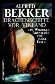 Drachenschiffe vor Vinland