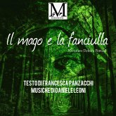 Il mago e la fanciulla (eBook, ePUB)