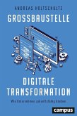 Großbaustelle digitale Transformation (eBook, PDF)