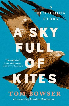 A Sky Full of Kites (eBook, ePUB) - Bowser, Tom