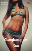 Gangbang am See (eBook, ePUB)