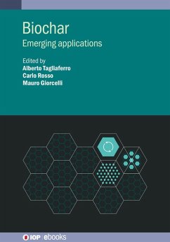Cover Biochar (eBook, ePUB)