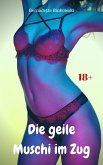 Die geile Muschi im Zug (eBook, ePUB)
