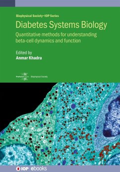 Cover Diabetes Systems Biology (eBook, ePUB)