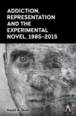 Addiction, Representation and the Experimental Novel, 1985-2015 (eBook, ePUB)