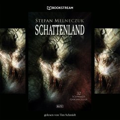 Schattenland (MP3-Download) - Melneczuk, Stefan