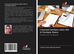 L'impresa familiare nella città di Teustepe, Boaco - Obando Rivera, Tupak Ernesto